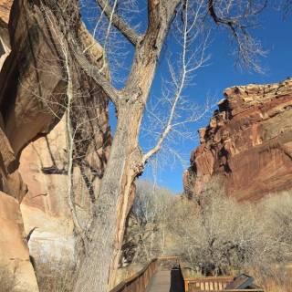 campery asone - wyprawy_kamperowe_usa_2026 (49).